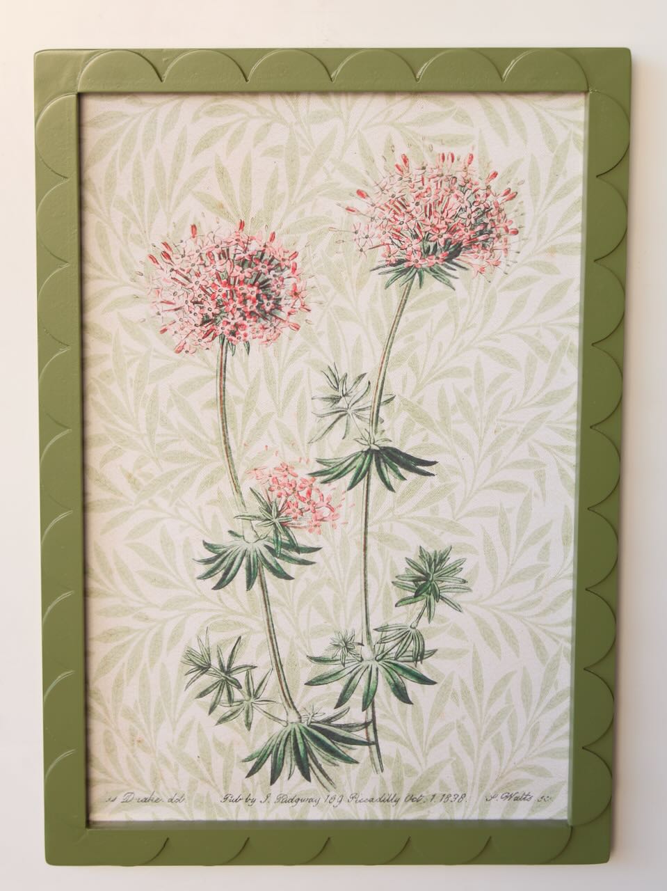 Green Scallop Frame Flower Picture